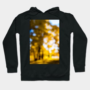 Defocused nature background Hoodie